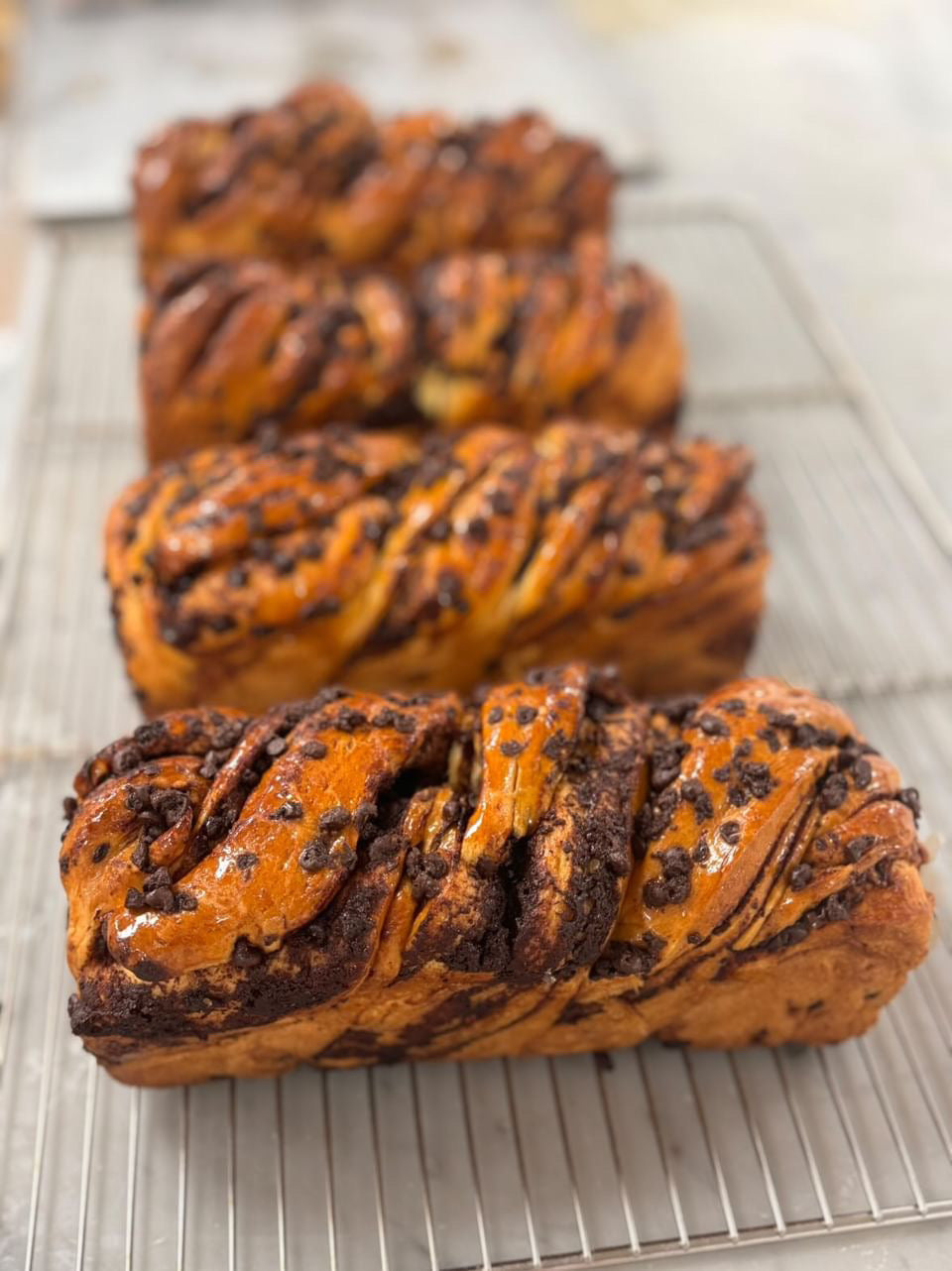 (EN) Chocolate Babka Ultra Soft